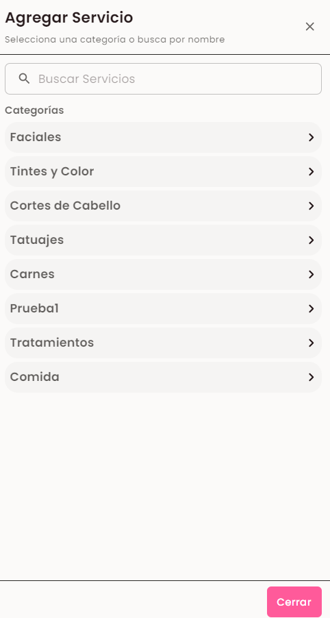 Selector Agregar Servicio con búsqueda y categorías