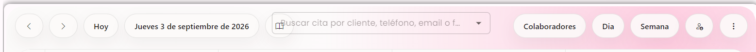 Barra con fecha, búsqueda y vistas del calendario